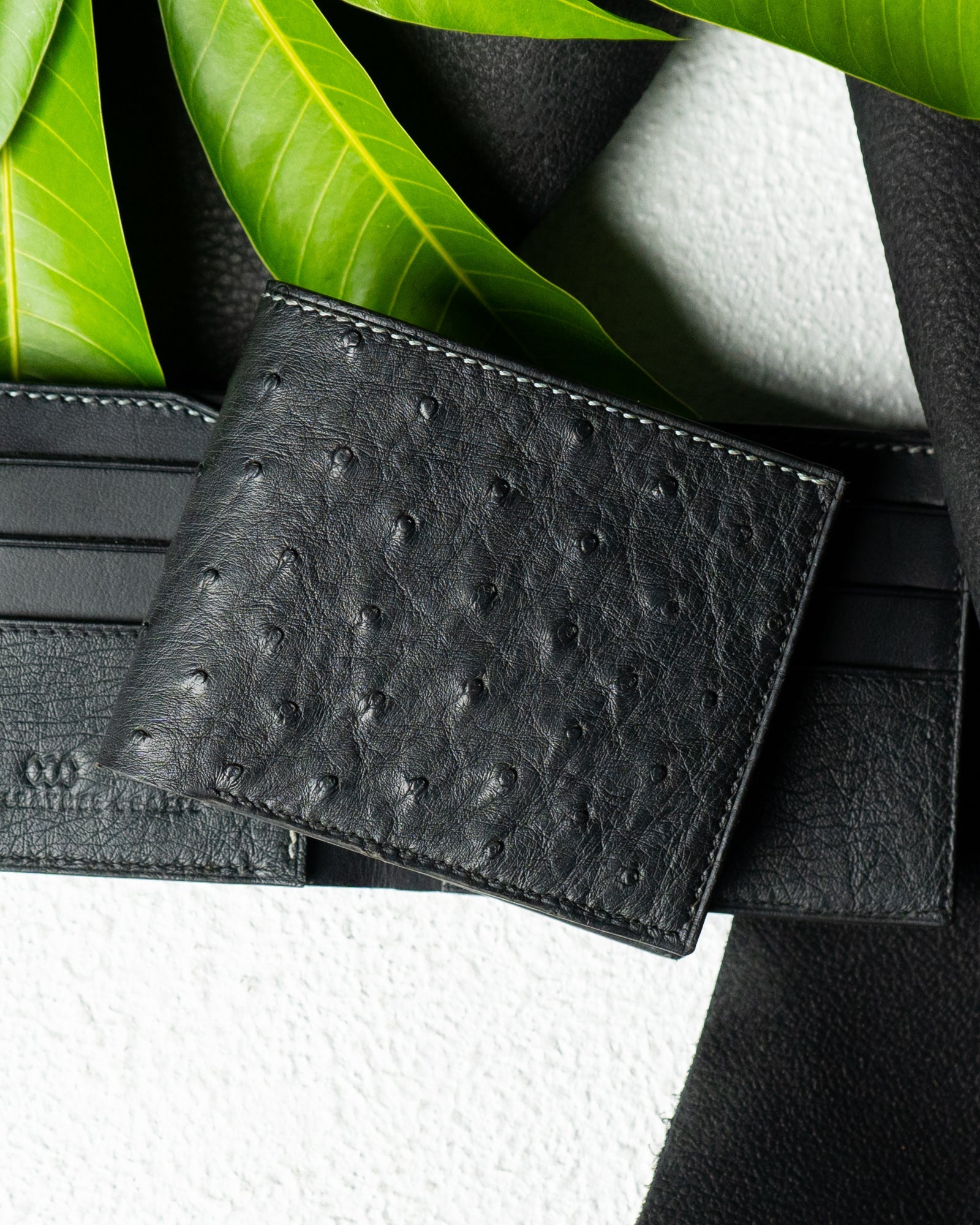 Levi Wallet – Black Ostrich Leather Edition - Ceylon Leather Crafts