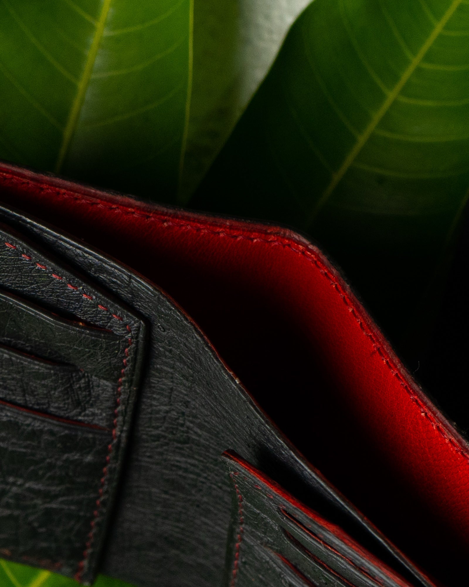Levi Wallet – Pure Ostrich Leather Edition - Ceylon Leather Crafts