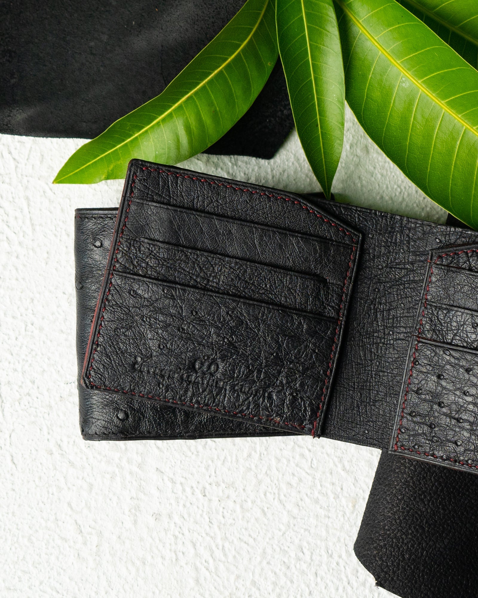 Levi Wallet – Pure Ostrich Leather Edition - Ceylon Leather Crafts