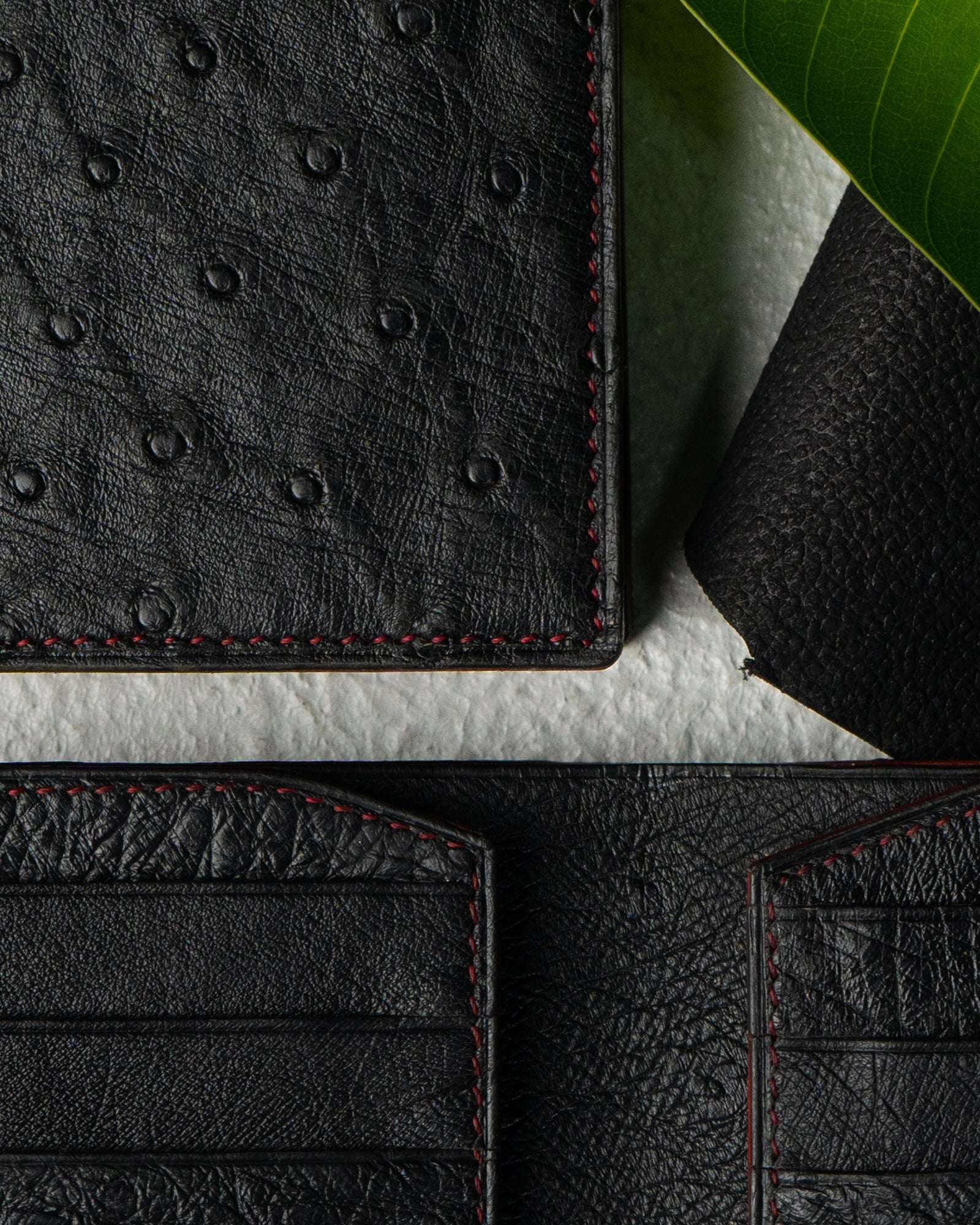 Levi Wallet – Pure Ostrich Leather Edition - Ceylon Leather Crafts
